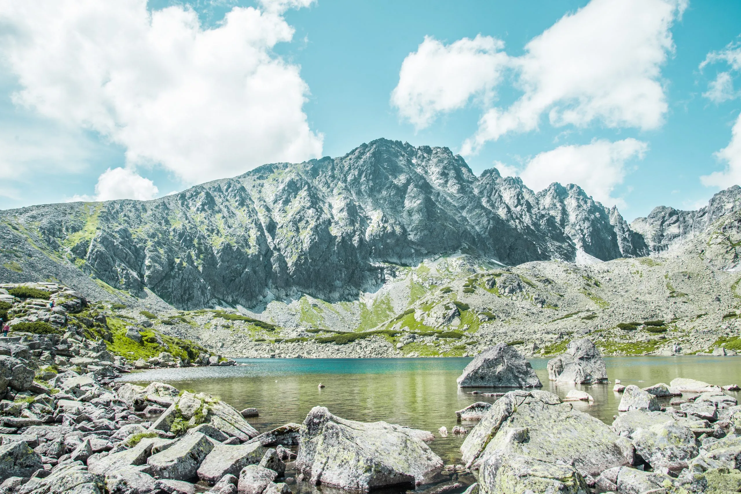 High Tatran kansallispuisto, Slovakia, Eurooppa. Vaellusreitti Batizovske pleso -vuoristojärvelle ja Sliezsky domille (Selesian talo). Kesäinen maisema, jossa sininen taivas, paistava aurinko ja suojellut Tatran kukat.