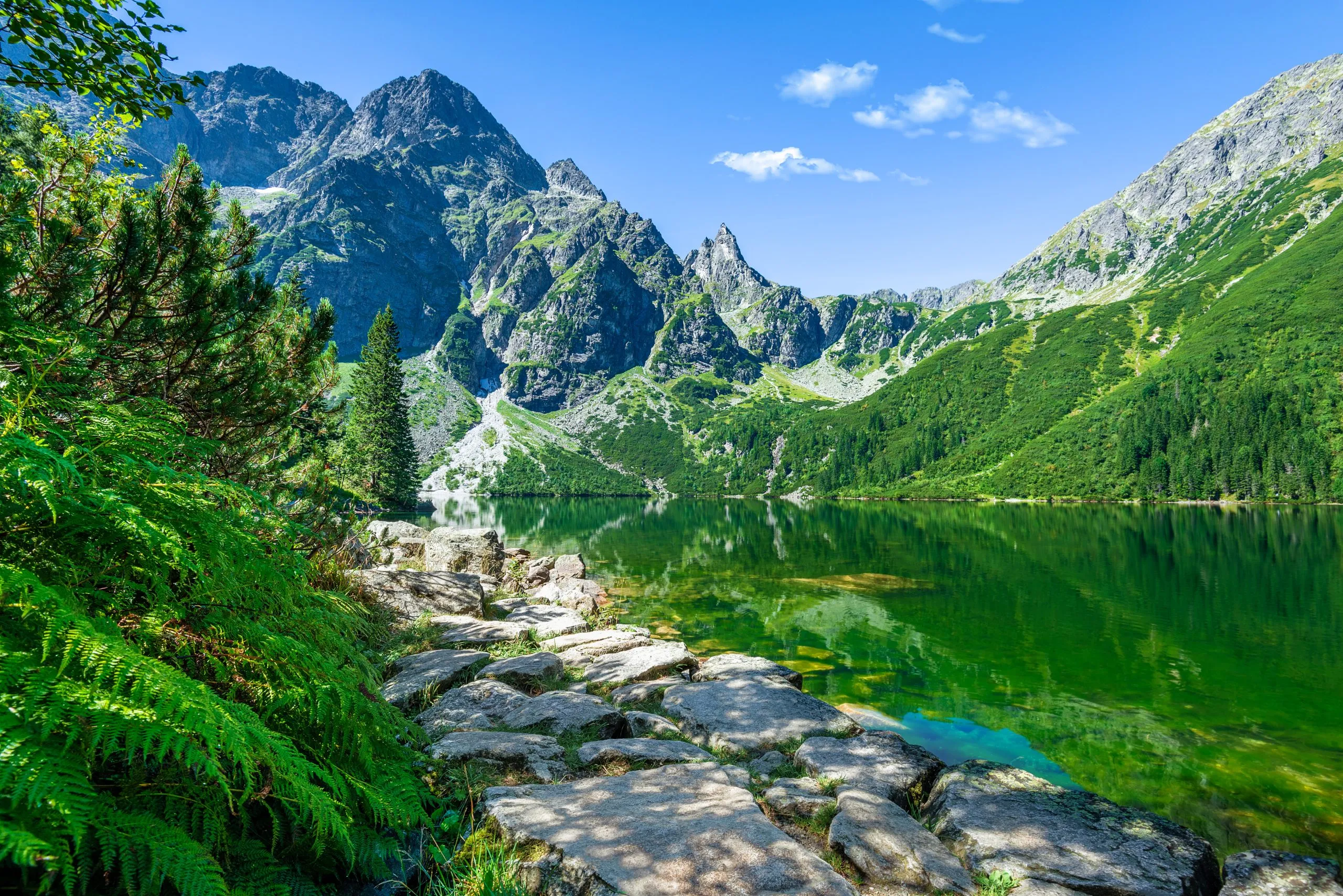 Lago di acqua verde Morskie Oko, Monti Tatra, Polonia