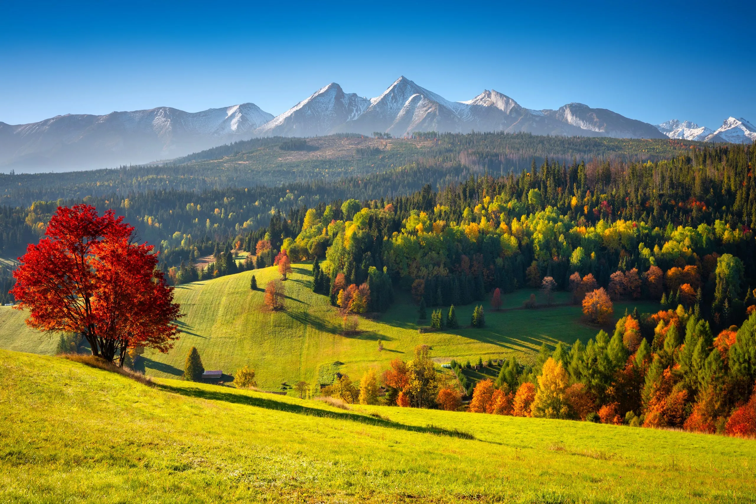Bellissimo autunno con alberi rossi e gialli sotto i Monti Tatra al sorgere del sole. Slovacchia